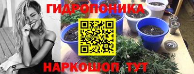 тгк Кинель