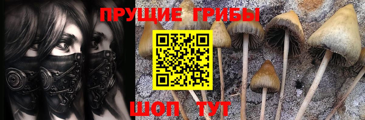 купить   Вход с VPN  Псилоцибиновые грибы MAGIC MUSHROOMS  Дубна  Галлюциногенные грибы GOLDEN TEACHER 