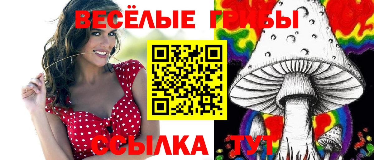 Псилоцибиновые грибы ЛСД Дубна