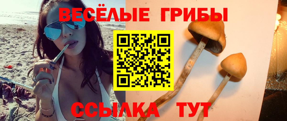 COCAIN Дубна